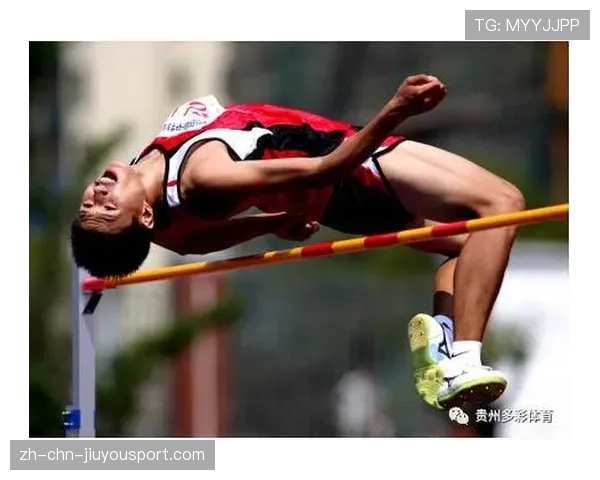 体育焦点人物专题深度解析，体育聚焦